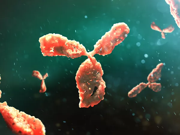 WebsiteWebP_M-FLUPU_Main